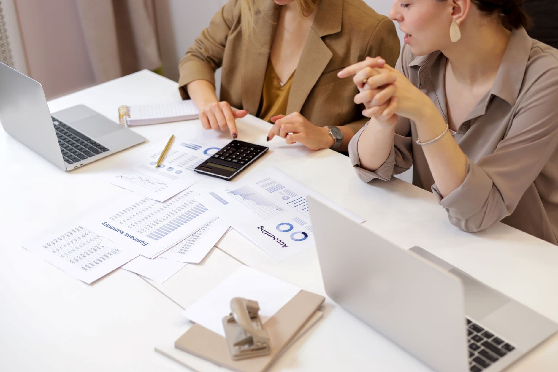 Accountant and farm business owner reviewing an accounting system on a laptop