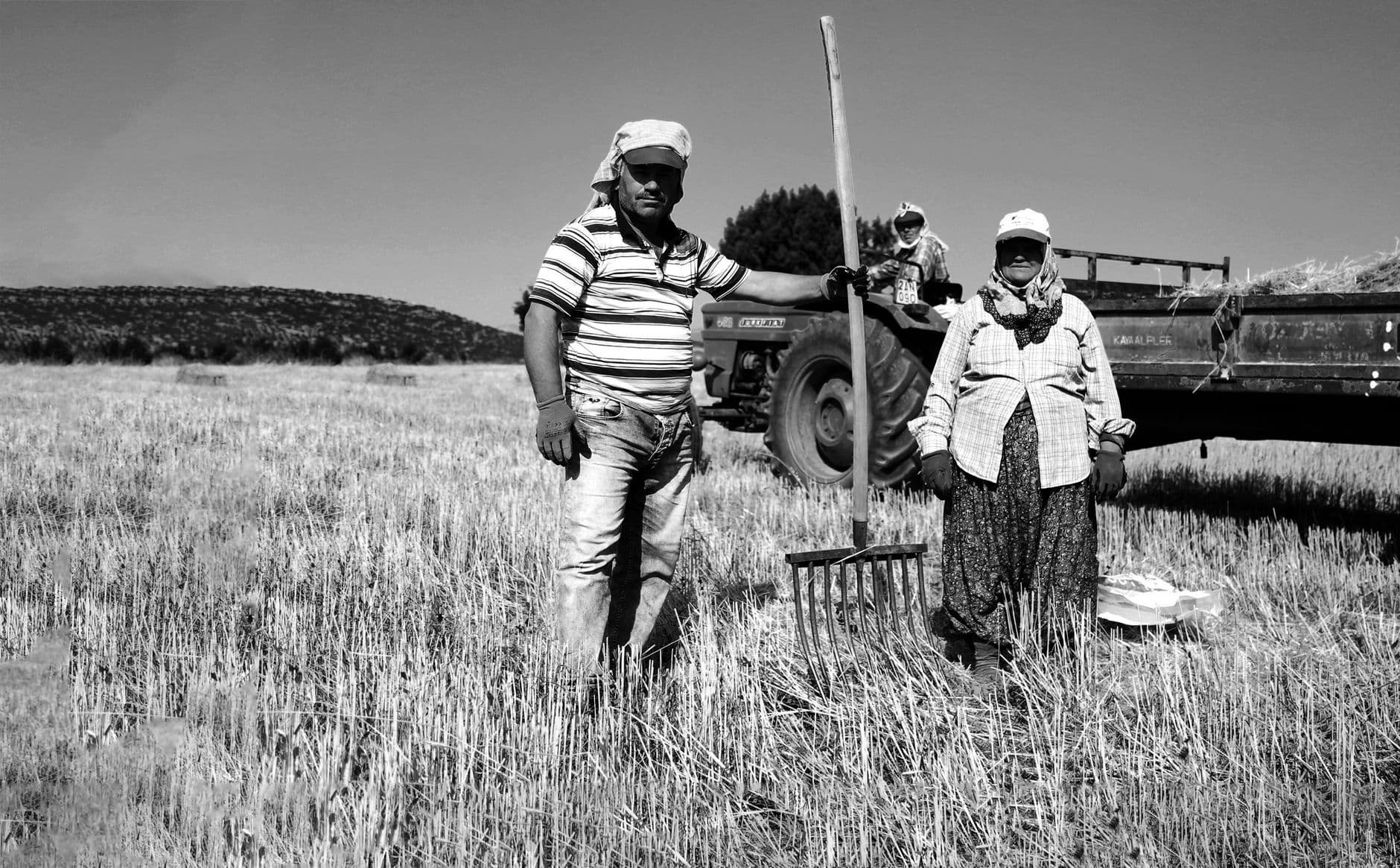 Farmer and CPA reviewing financial documents together outdoors near farmland